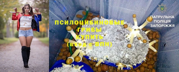 СК Абдулино