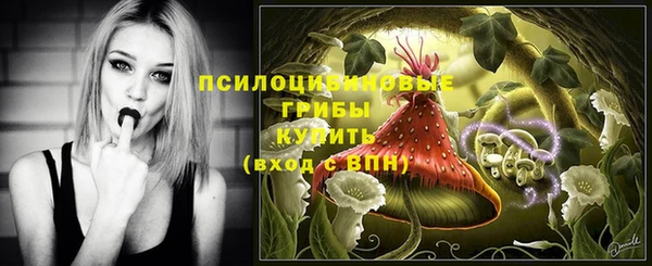 СК Абдулино