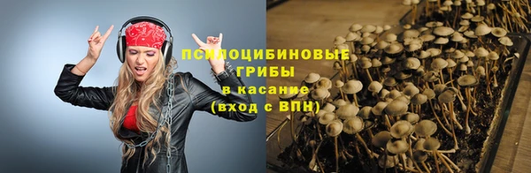 СК Абдулино