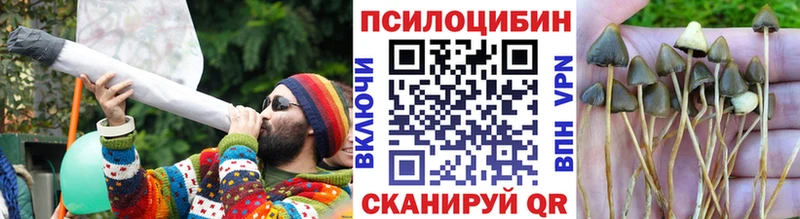 Галлюциногенные грибы прущие грибы  Гусиноозёрск 